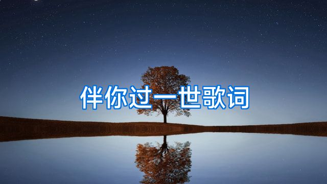 伴你过一世歌词