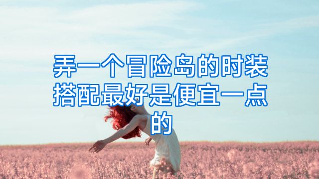 弄一个冒险岛的时装搭配最好是便宜一点的