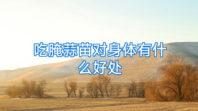 吃腌蒜苗对身体有什么好处