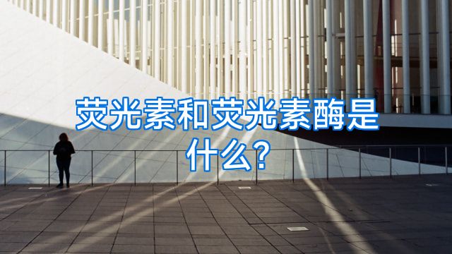 荧光素和荧光素酶是什么?
