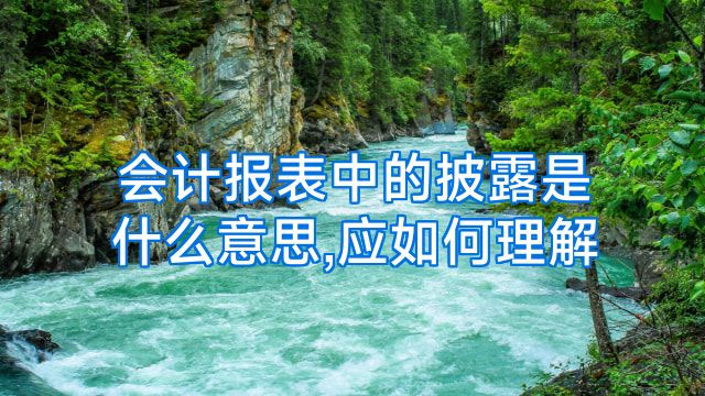 会计报表中的披露是什么意思,应如何理解