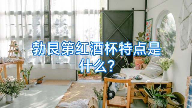 勃艮第红酒杯特点是什么?