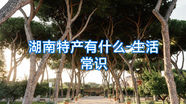 湖南特产有什么-生活常识