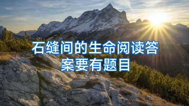 石缝间的生命阅读答案要有题目