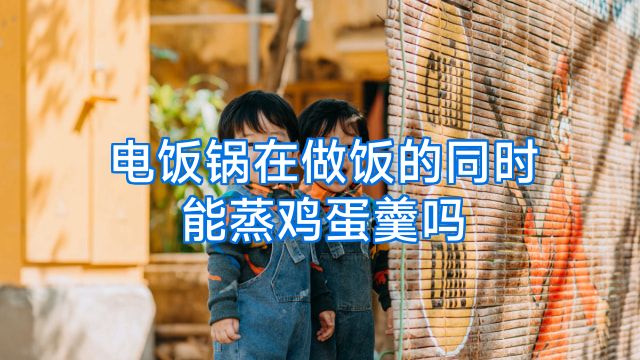 电饭锅在做饭的同时能蒸鸡蛋羹吗