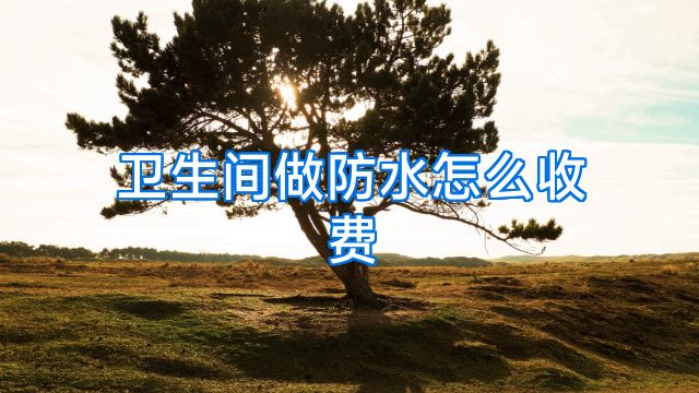 卫生间做防水怎么收费