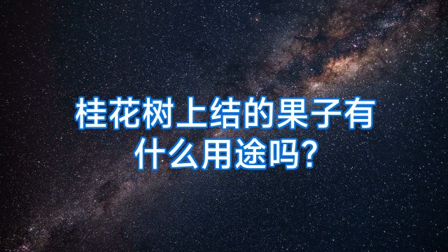 桂花树上结的果子有什么用途吗?