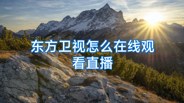 东方卫视怎么在线观看直播