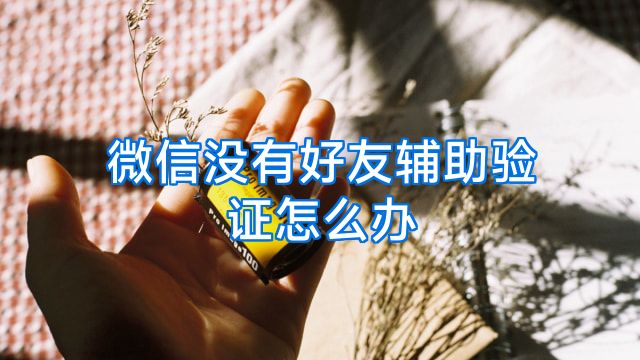 微信没有好友辅助验证怎么办