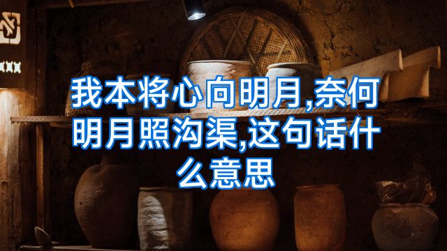 我本将心向明月,奈何明月照沟渠,这句话什么意思