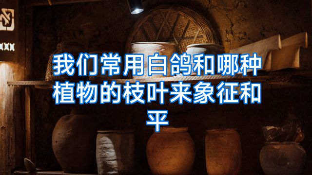 我们常用白鸽和哪种植物的枝叶来象征和平