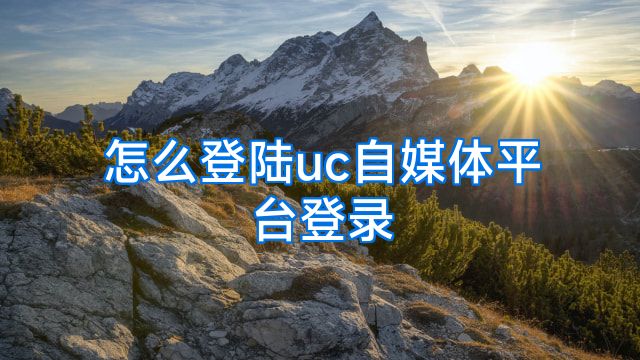 怎么登陆uc自媒体平台登录