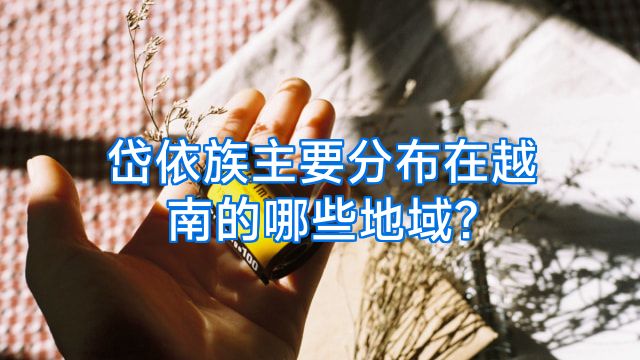 岱依族主要分布在越南的哪些地域?