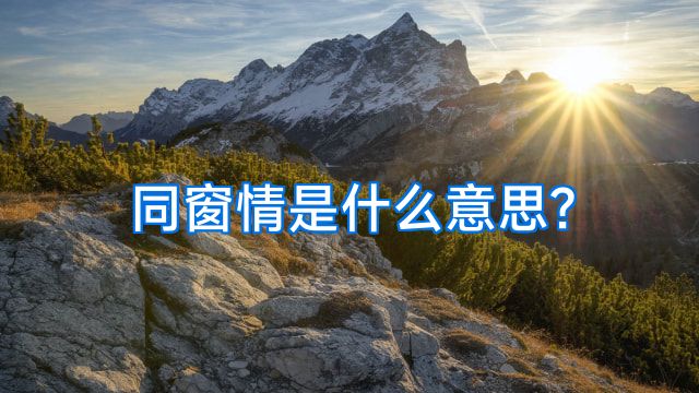 同窗情是什么意思?