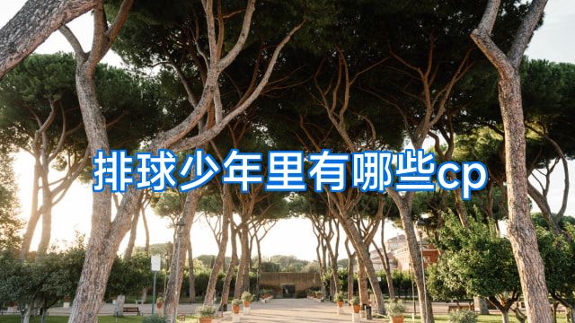 排球少年里有哪些cp