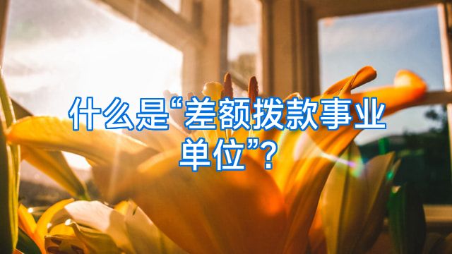 什么是“差额拨款事业单位”?