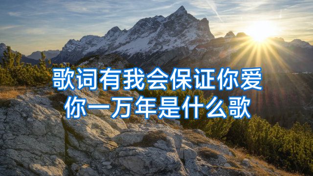 歌词有我会保证你爱你一万年是什么歌