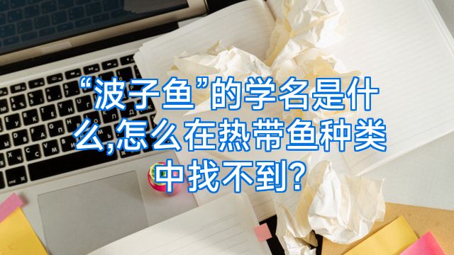 “波子鱼”的学名是什么,怎么在热带鱼种类中找不到?