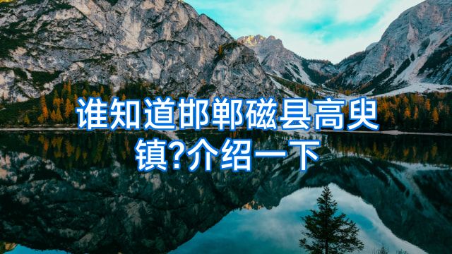 谁知道邯郸磁县高臾镇?介绍一下