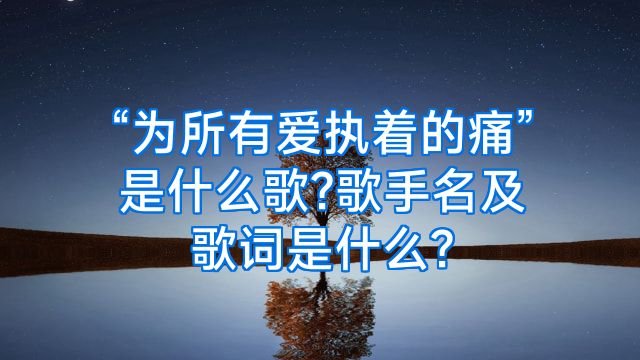 “为所有爱执着的痛”是什么歌?歌手名及歌词是什么?
