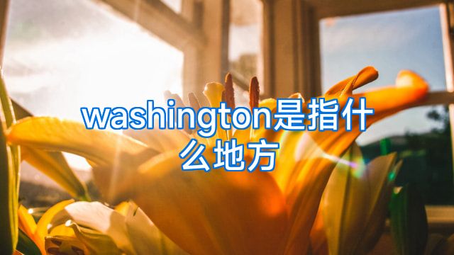 washington是指什么地方