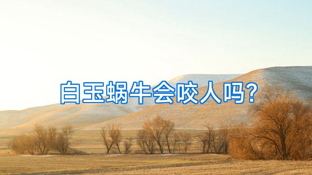 白玉蜗牛会咬人吗?