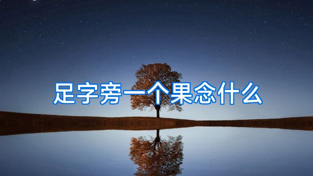 足字旁一个果念什么