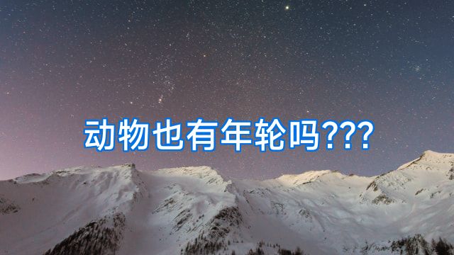 动物也有年轮吗???