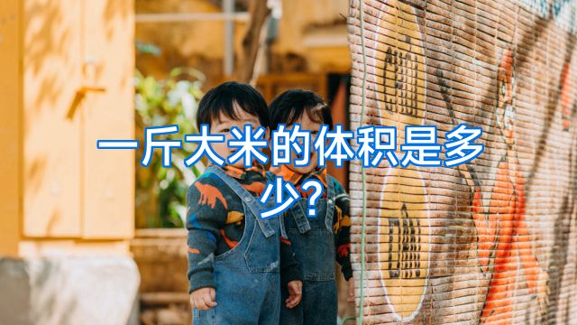 一斤大米的体积是多少?