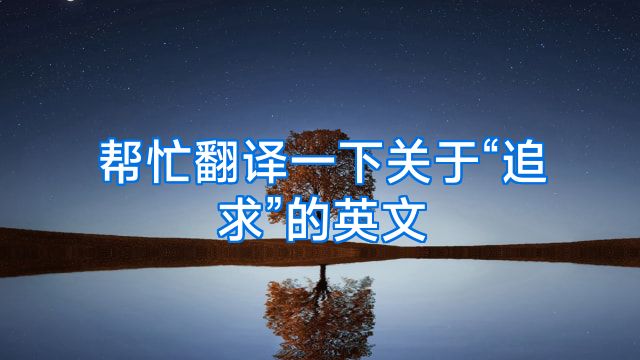 帮忙翻译一下关于“追求”的英文