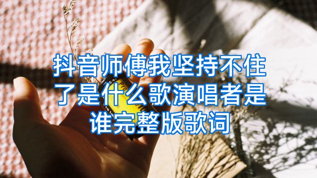 抖音师傅我坚持不住了是什么歌演唱者是谁完整版歌词