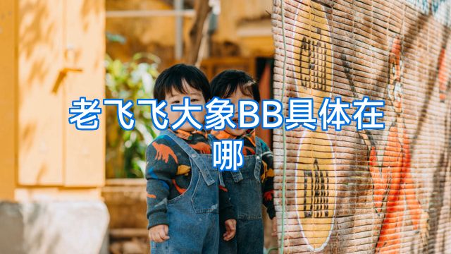 老飞飞大象BB具体在哪