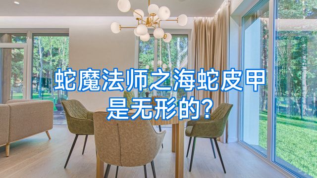 蛇魔法师之海蛇皮甲是无形的?