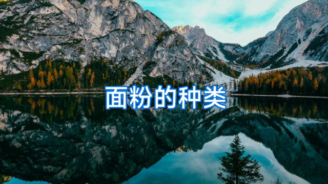 面粉的种类