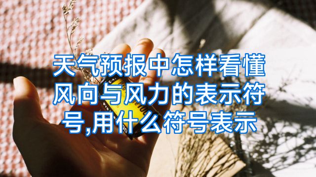 天气预报中怎样看懂风向与风力的表示符号,用什么符号表示