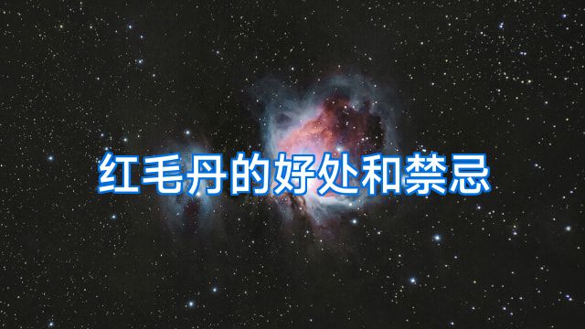 红毛丹的好处和禁忌