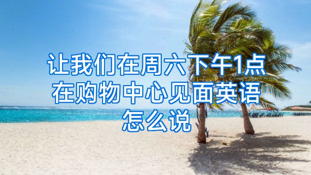 让我们在周六下午1点在购物中心见面英语怎么说