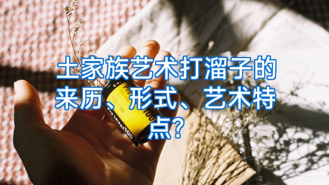 土家族艺术打溜子的来历、形式、艺术特点?