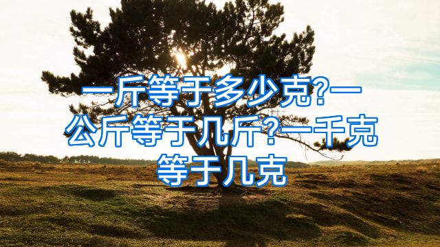 一斤等于多少克?一公斤等于几斤?一千克等于几克