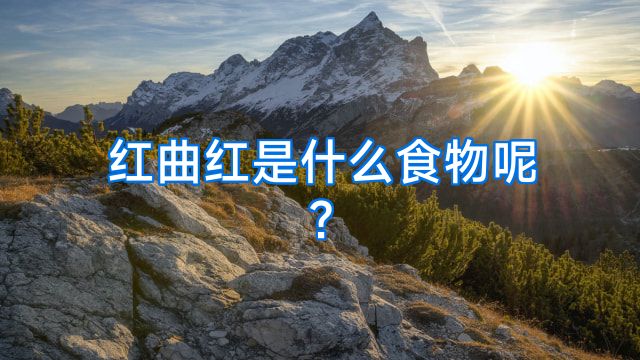 红曲红是什么食物呢?