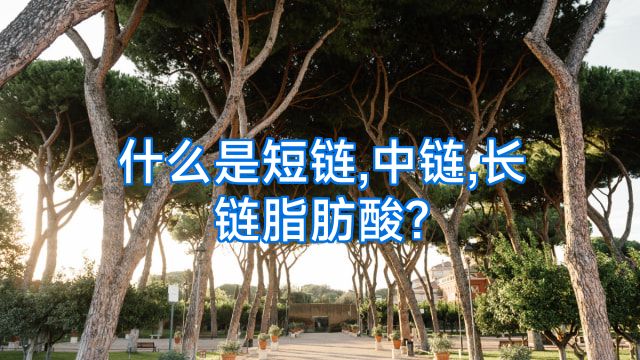 什么是短链,中链,长链脂肪酸?