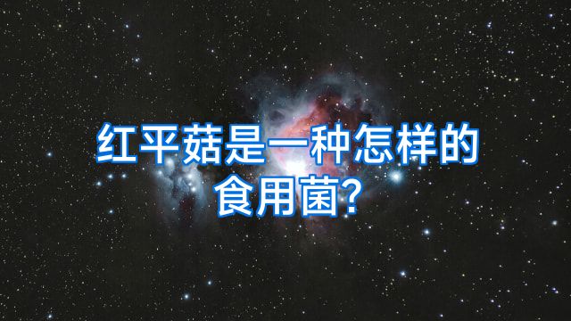 红平菇是一种怎样的食用菌?