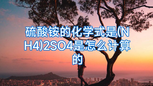 硫酸铵的化学式是(NH4)2SO4是怎么计算的