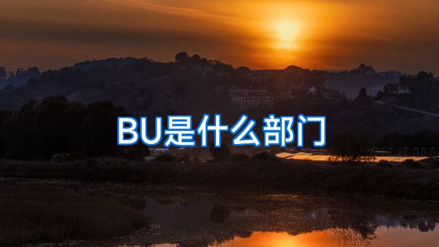 BU是什么部门