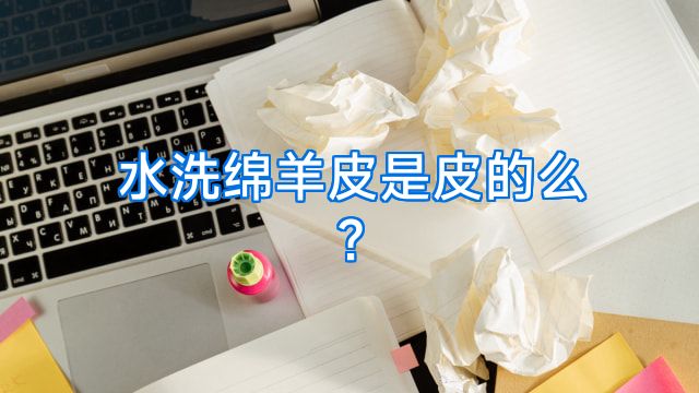 水洗绵羊皮是皮的么?