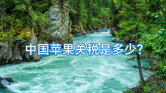 中国苹果关税是多少?