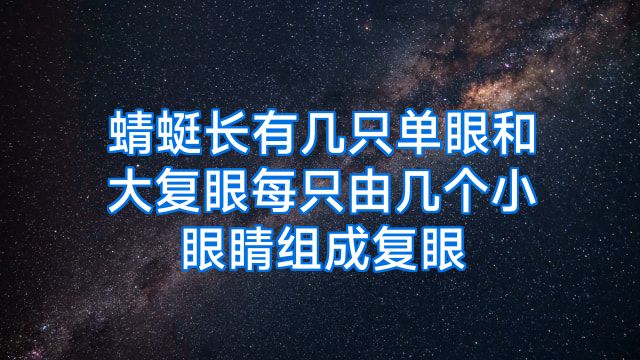 蜻蜓长有几只单眼和大复眼每只由几个小眼睛组成复眼