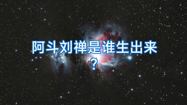 阿斗刘禅是谁生出来?
