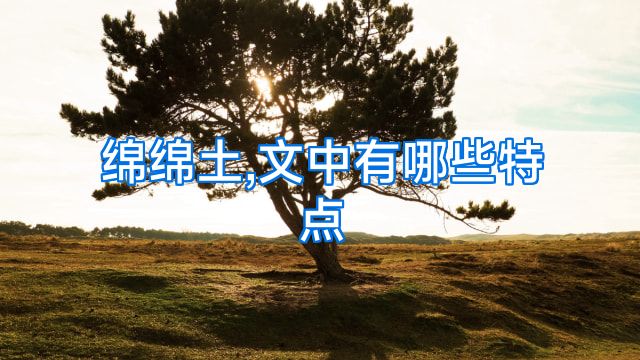 绵绵土,文中有哪些特点