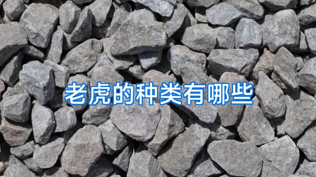 老虎的种类有哪些